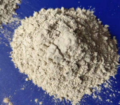 �X���}�ۃr��S�҈D